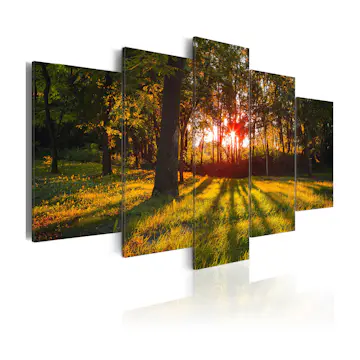 Tavla Arkiio In The shade Of Forest