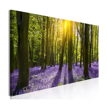 Tavla Arkiio Hyacinth Field