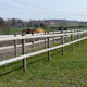 Bom Fyrås Trä 95x3000 mm 55 st Oimpregnerad