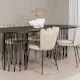 Matgrupp furniture/fashion Stone med 4 Limhamn Light Stolar