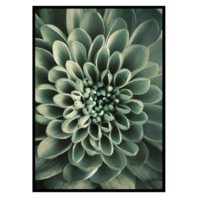 Poster Gallerix Green Petals