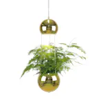 Fönsterlampa Globen Lighting Planter