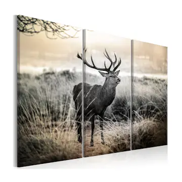 Tavla Arkiio Dangerous Horns I