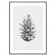 Poster Gallerix Sketched Spruce Cone