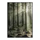 Poster Gallerix Sunbeam Forest