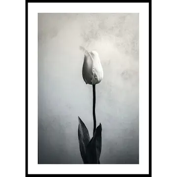 Poster Gallerix Serendipity