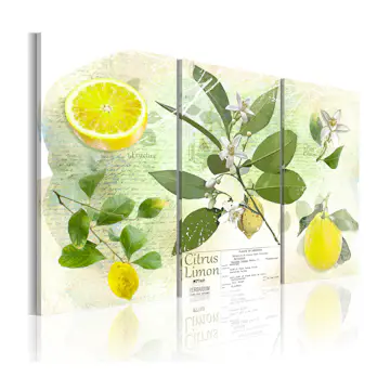 Tavla Arkiio Fruit Lemon