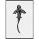 Poster Gallerix Zebra Shark