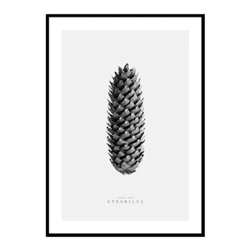 Poster Gallerix Winter Botany No3