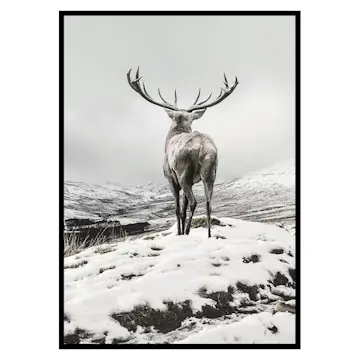 Poster Gallerix Winter Roe Deer