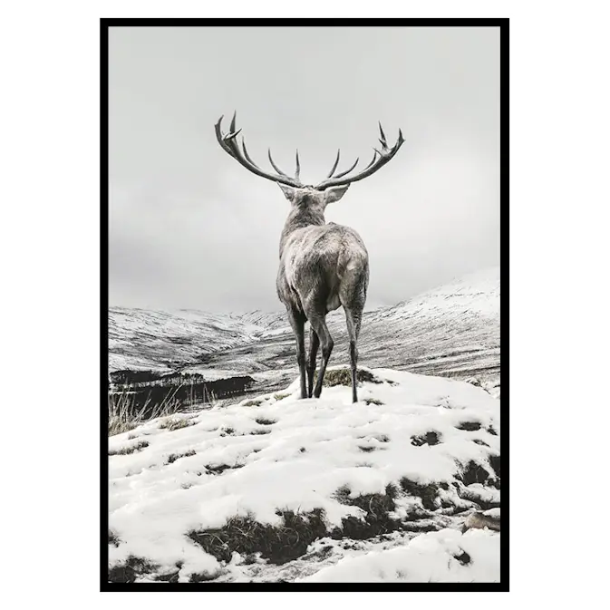 Poster Gallerix Winter Roe Deer