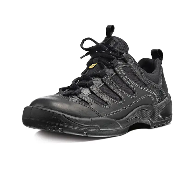 Lågsko Arbesko 1355