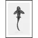 Poster Gallerix Zebra Shark