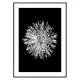 Poster Gallerix Dahlia BW