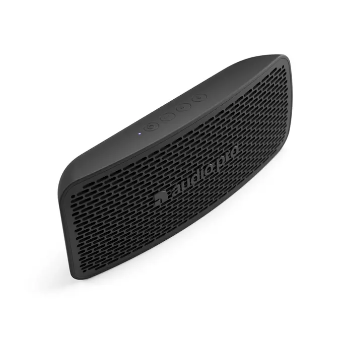 Högtalare Audio Pro P5
