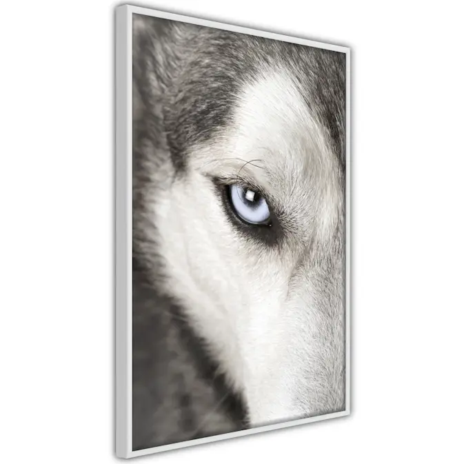 Poster Artgeist Affisch Dog's Look