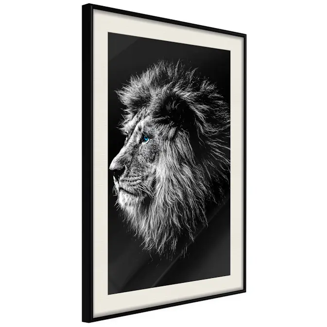 Poster Artgeist Affisch Blue-eyed Lion