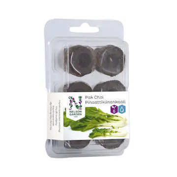 Hydroponisk Fröplugg Nelson Garden Pak choi
