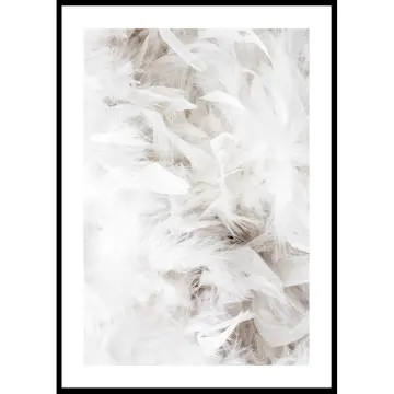 Poster Gallerix White Feathers