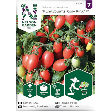 Frö Nelson Garden Tomat Funnyplums Rosy Pink F1 Kruktomat