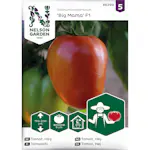 Frö Nelson Garden Tomat Hög Big Mama F1