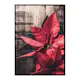 Poster Gallerix Christmas Poinsettia