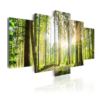 Tavla Arkiio Forest Kingdom