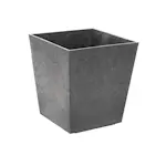 Blomkruka Recal Sonata