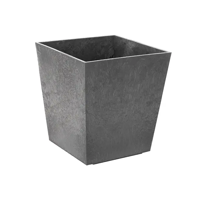 Blomkruka Recal Sonata