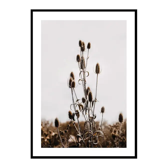 Poster Gallerix Reeds