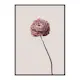 Poster Gallerix Buttercup Flower