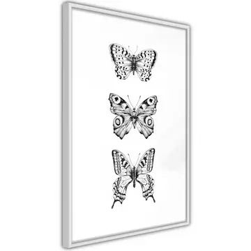 Poster Artgeist Affisch Three Butterflies