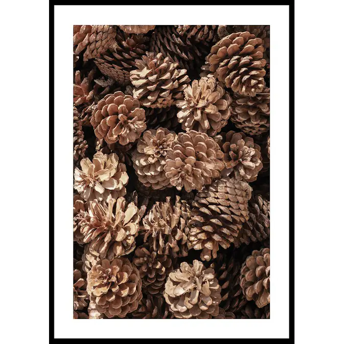 Poster Gallerix Fir Cones Close Up