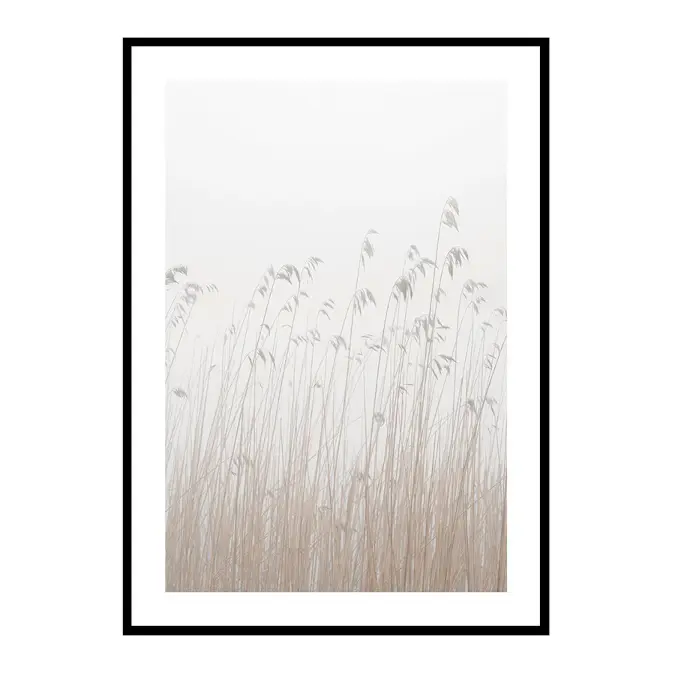 Poster Gallerix Grass In Fog