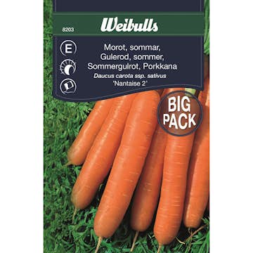 Frö Morot Weibulls Sommar Storpack