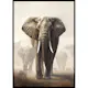 Poster Gallerix Elephant Matriarch