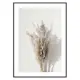 Poster Gallerix Dry Reeds No1