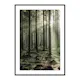 Poster Gallerix Sunbeam Forest
