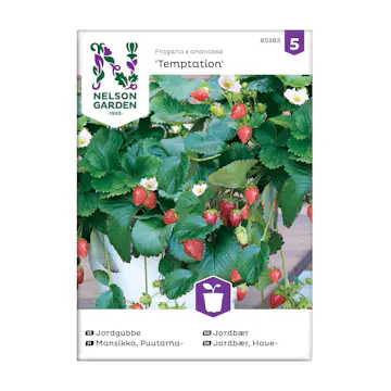 Frö Jordgubbe Nelson Garden Temptation