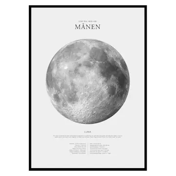 Poster Gallerix Månen