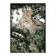 Poster Gallerix Leopard In Tree