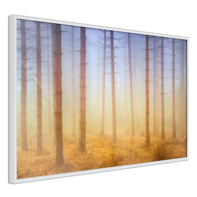 Poster Artgeist Affisch Foggy Forest