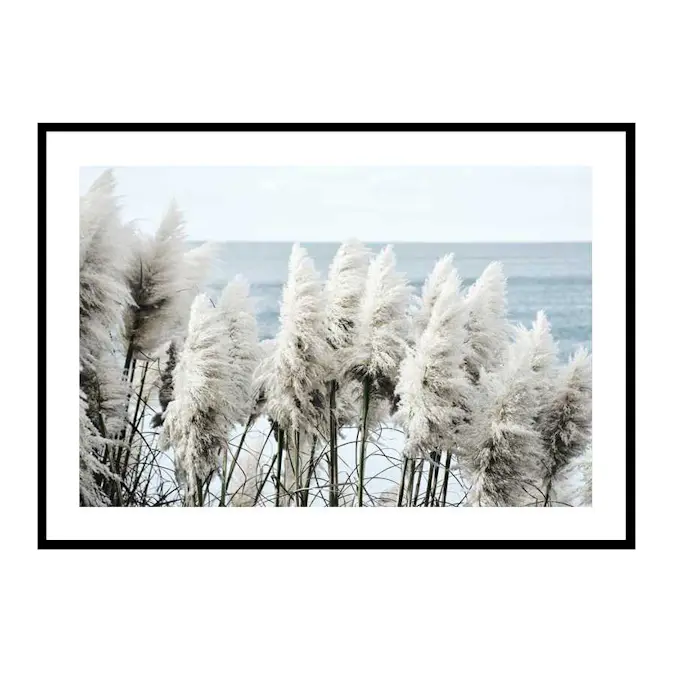 Poster Gallerix Toitoi Grass