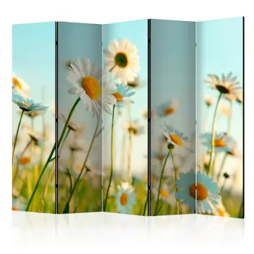 Rumsavdelare Skärmvägg Arkiio Daisies Spring Meadow II 225x172 cm