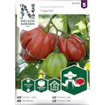 Frö Nelson Garden Tomat Hög Liguria