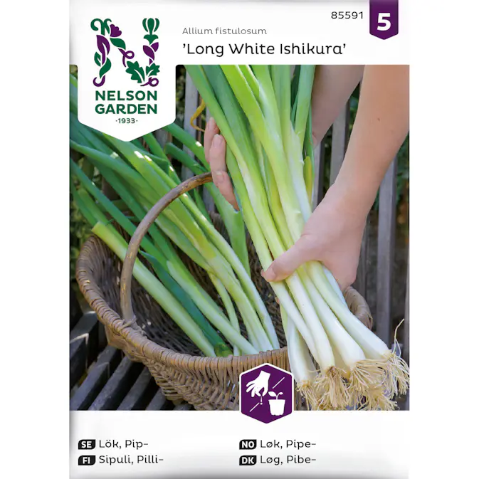 Frö Nelson Garden Lök Pip Long White Ishikura