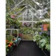 Växthus Canopia by Palram Visby 4,6 m²