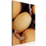 Tavla Arkiio Fall Season