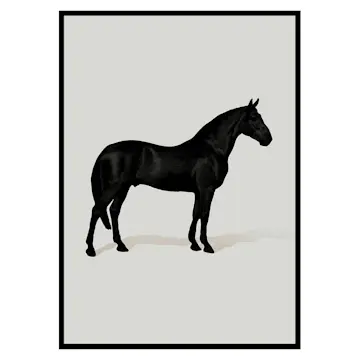 Poster Gallerix Black Horse Port. Drawing