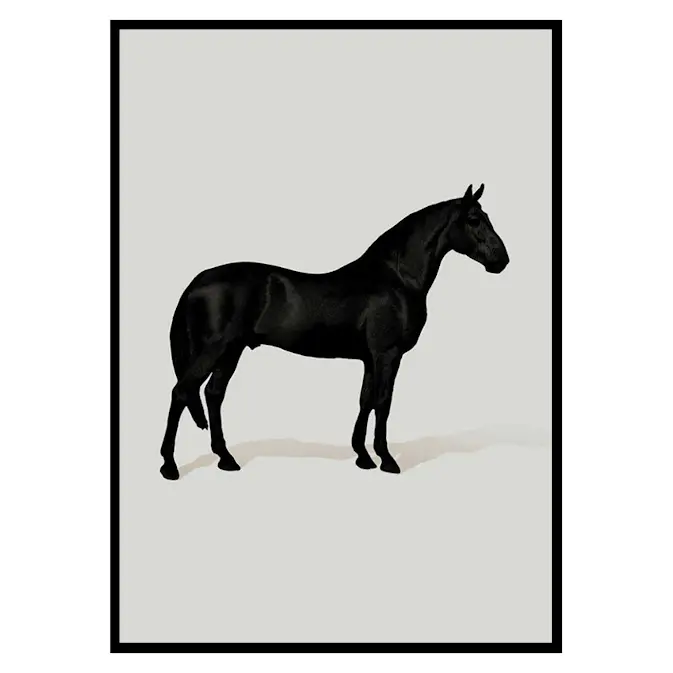 Poster Gallerix Black Horse Port. Drawing